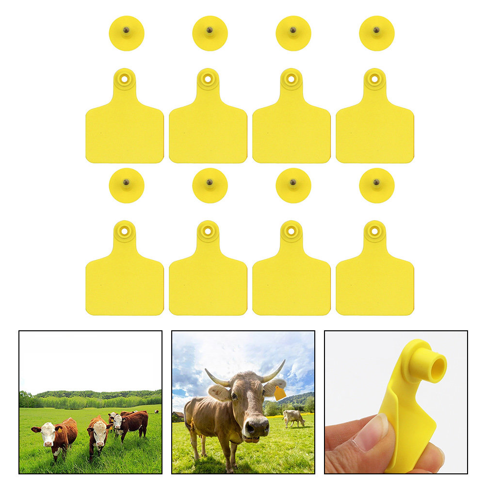100Pcs Cow Ear Tag Blank Plast - Livestock Ear Tag ulasan dan harga